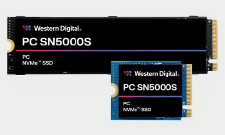内蔵型SSD Western Digital PC SN5000S 1TB SSD SN5000S: a Western Digital SSD with QLC memory! - Overclocking.com EN