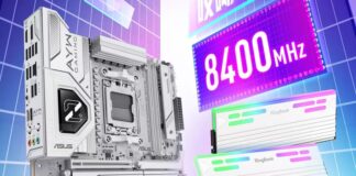 ASUS CXMT 8400 MT/s